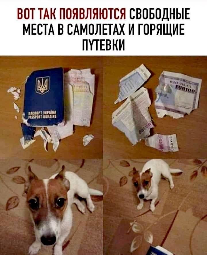 ВОТ ТАК ПОЯВЛЯЮТСЯ СВОБОДНЫЕ МЕСТА В САМОЛЕТАХ И ГОРЯЩИЕ ПУТЕВКИ