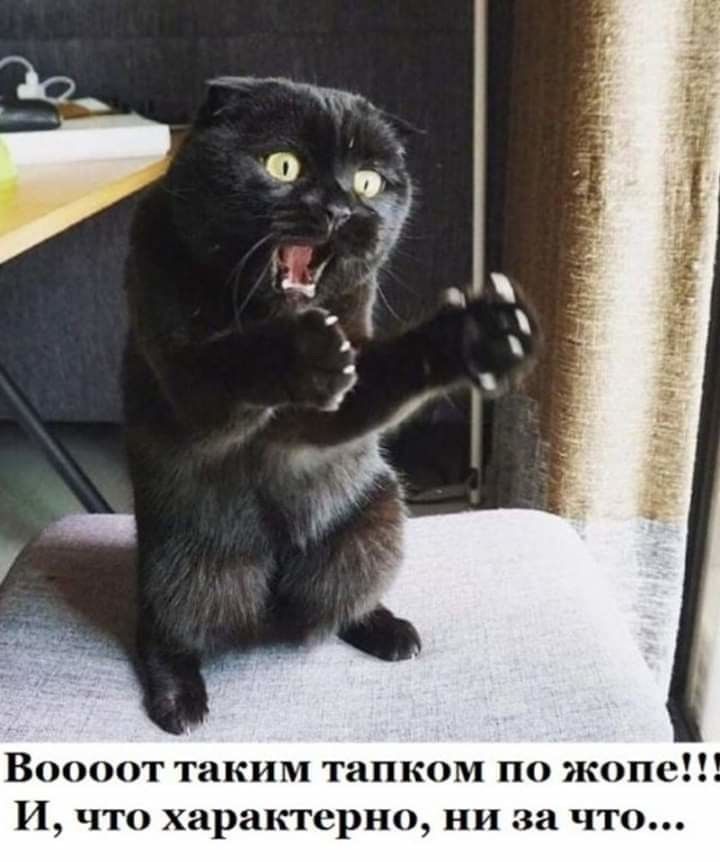 Воооот таким тапком по жопе И что харакгерно ни за что
