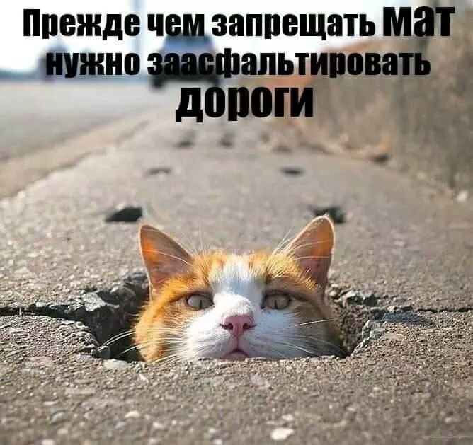 Прежде чшзаппвщать м __ шина альтиповад д ноги д _ _ с