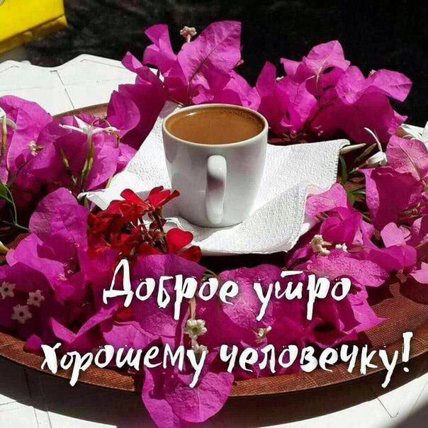 Давращушра 5 может человечку
