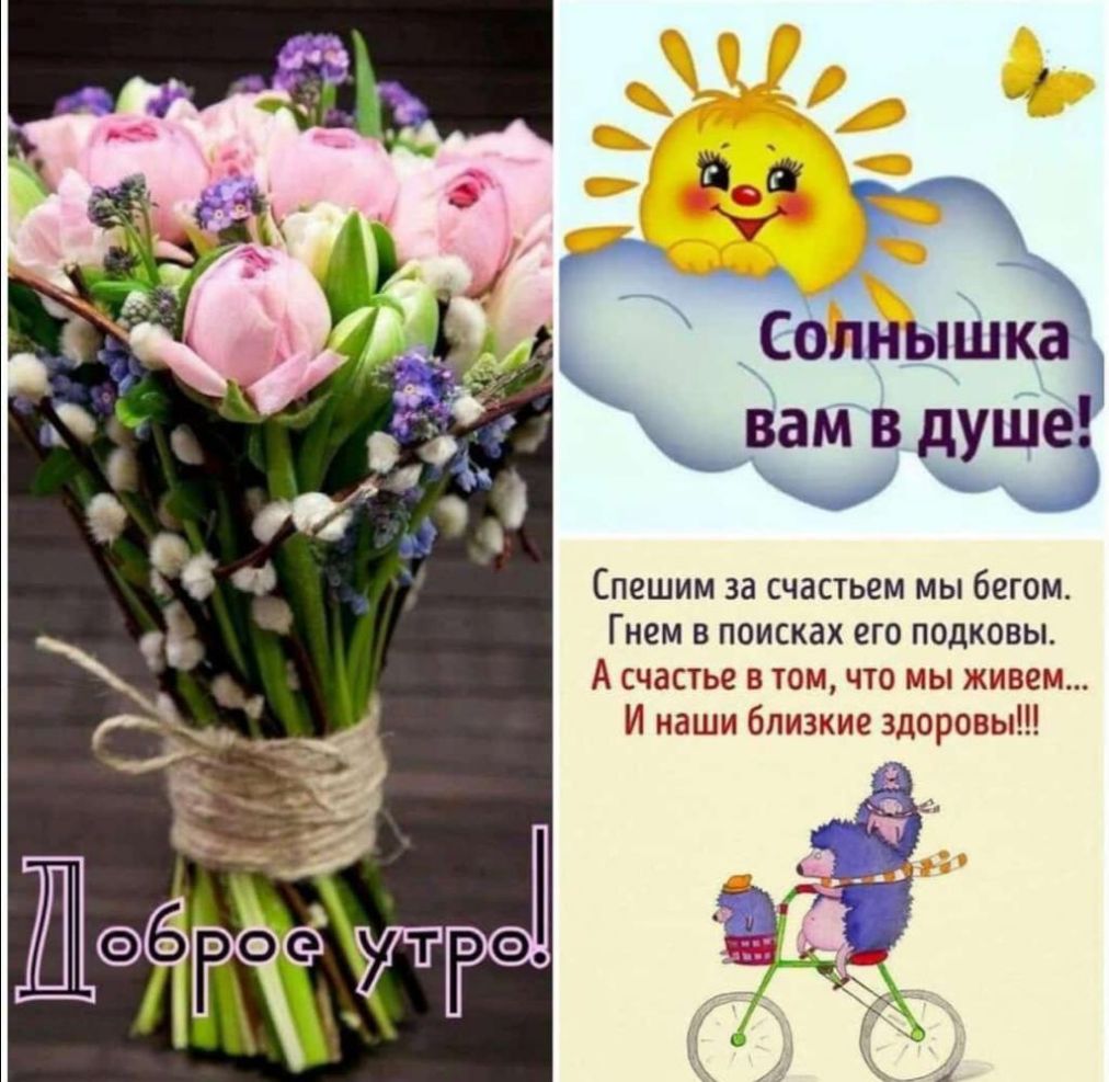 __СолныШК вамв душеі Спешим за счастьем мы бегом Гнем в поисках его подковы А счастье в том что мы живем И наши близкие здоровы