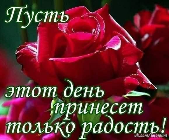 га з11і0п_день __ 7 трцэгесгт только радости _А