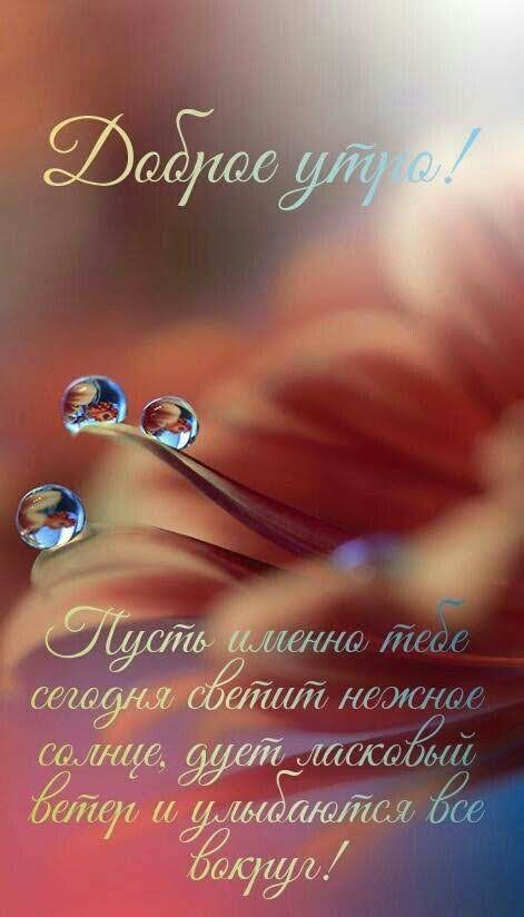 йа т стад суета17 т ит тттса ша гигГид думате710 тс