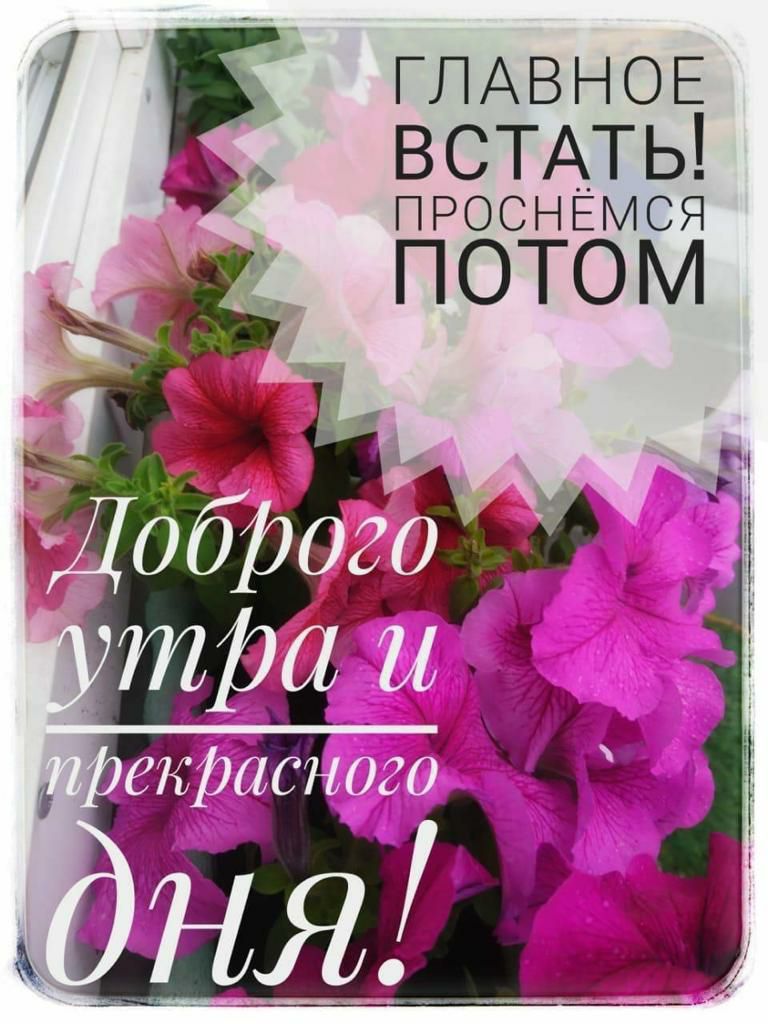 ГЛАВНОЕ ВСТАТЬ ПРОСНЁМСЯ