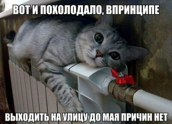 ВПТ И поіншпшшо ВПРИНЦИПЕ ИЧИН НЕТ