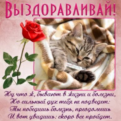 964 шт і дымит 1411310 и Ъмдш Жо Щит уу тбл а пишиш моеаишь италшто ГИ дат Матиз вёдра би рейдам
