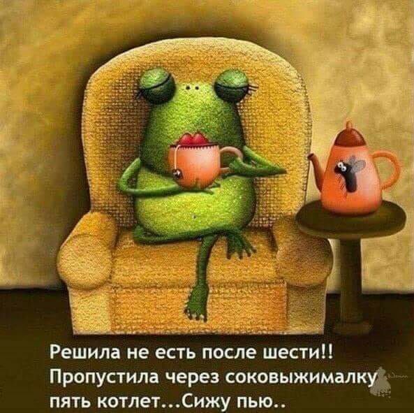 Решила не есть после шести Пропустила через соковыжималк пять котлетСижу пью