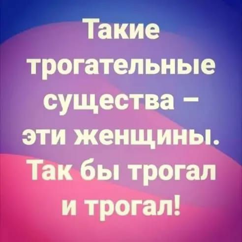 Такие трогательные существа эти женщины Так бы трогал и трогал