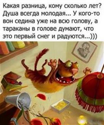 Какая разница кому сколько лет Душа всегда молодая У когото БОН седина уже на ВСЮ ГОЛОВУ а тараканы В ГОЛОВЕ ЦУМЗЮЪ ЧТО это первый снег и радуются