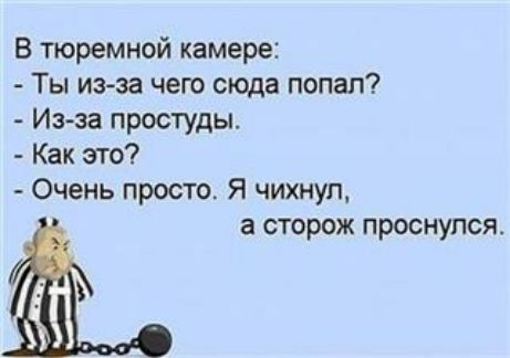 В тюремной камере Ты из эа чего сюда попал Изза простуды Как это Очень просто Я чихнул а сторож проснулся