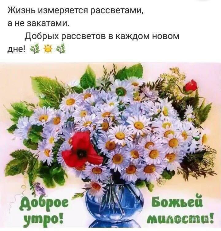 ЖИЗНЬ измеряется рассветами а не ЗЗКЗТЗМИ Добрых рассветов В каждом НОВОМ дне 53