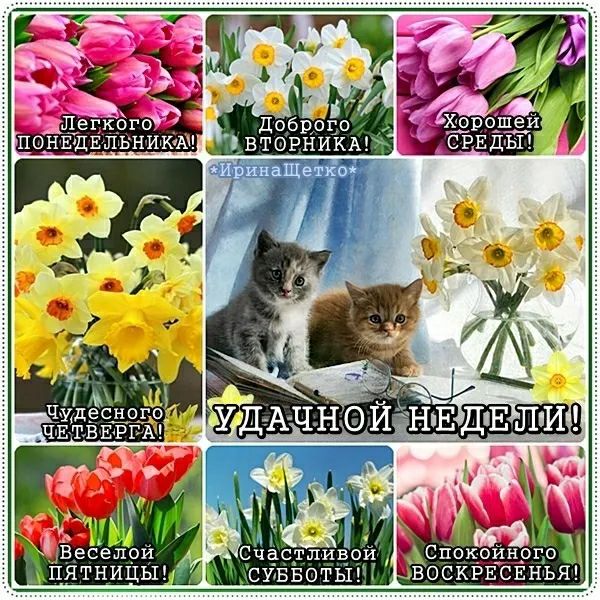 г Доброго ВТОРНИКА