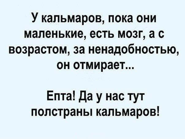 У кальмаров пока они маленькие есть мозг а с возрастом за ненадобностью он отмирает Епта Да у нас тут полстраны кальмаров