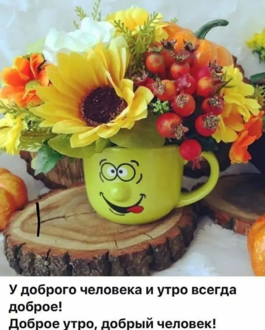 У доброго человека и утро всегда доброе доброе утро добрый человек