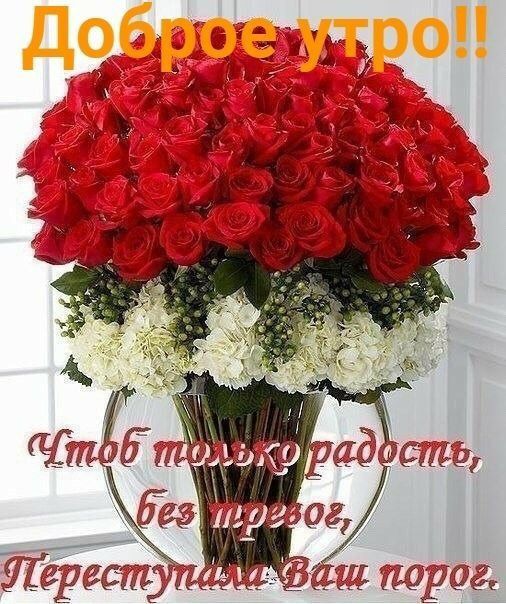 тр его