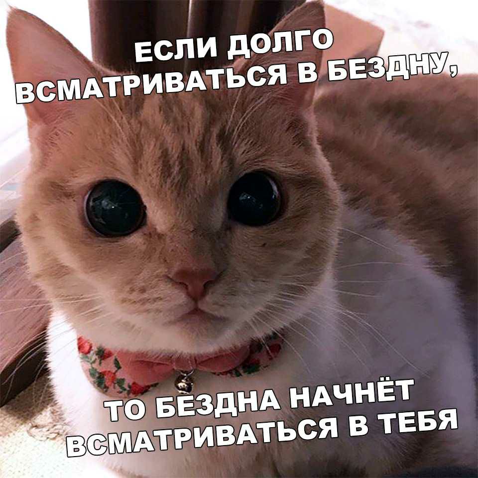 тэ БЁздНА НАЧНЁТ ся в тввя