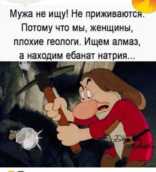 Мужа не ищу Не приживаютс Потому что мы женщины плохие геологи Ищем алмаз а_ находим ебанат натрия