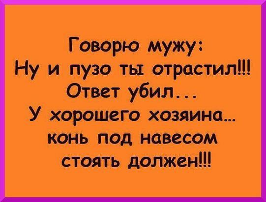 Говорю мужу Ну и пузо ты отрастил Ответ убил У хорошго хозяина конь под навесом стоять должен