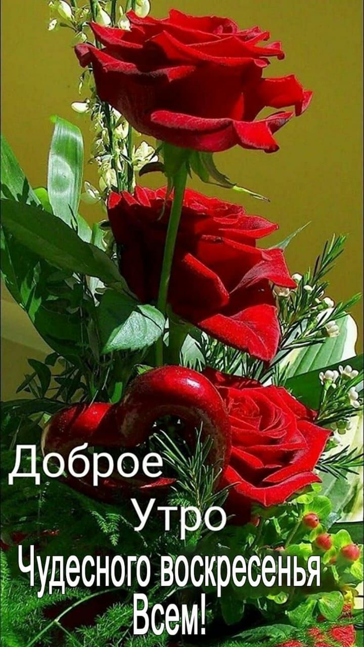 Чудесного воскресенья Всем
