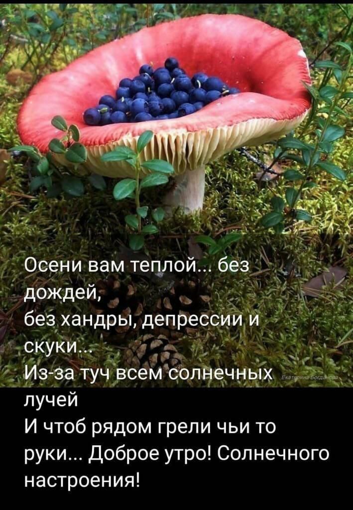 Осени вам теплой без дождей _ безхандрЬ1депрессиии ёк сКуки г 1_ _ Из за туч всем солНечных лучей Ичтобрядомгреличьито рукиДоброеутроСолнечного настроения