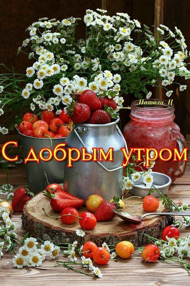 НтпёиЦ
