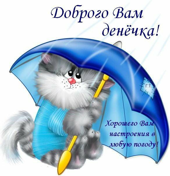 Фоброго Зам денёчка