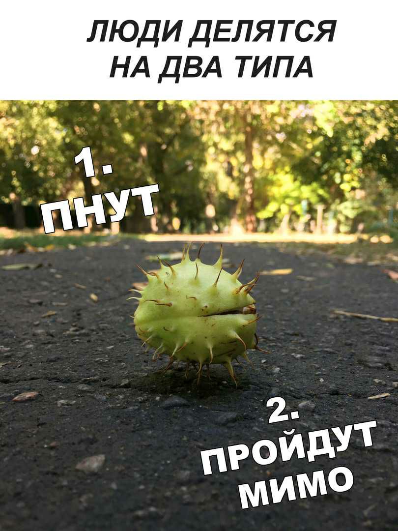 люди ДЕЛЯ тся НА двд типд