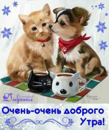 мёд Очень очень доброго 00Ы9д Утрв