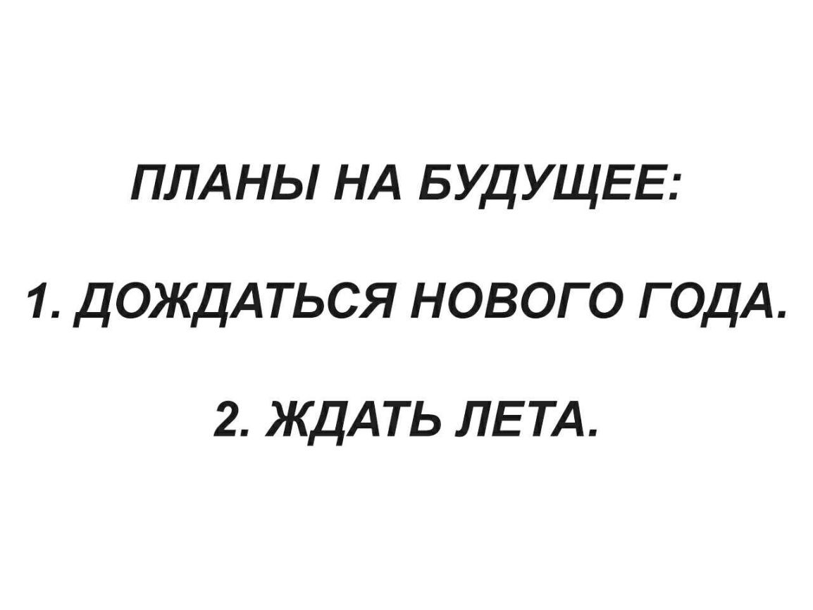 ПЛАНЫ НА БУДУЩЕЕ 1 дОЖдАТЬСЯ нового годА 2 ЖДАТЬ ЛЕТА