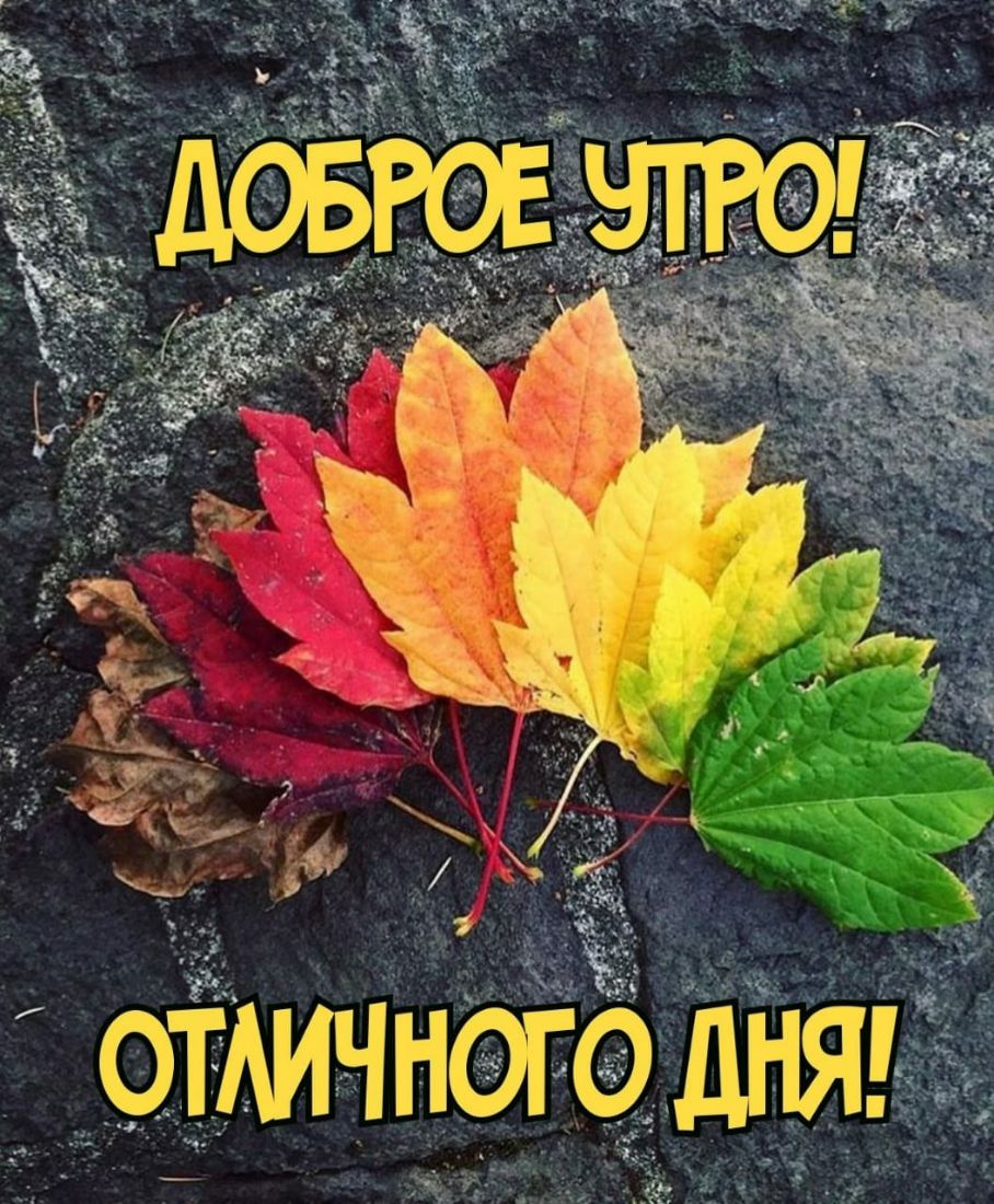 Ъ Ё оТАичного дня