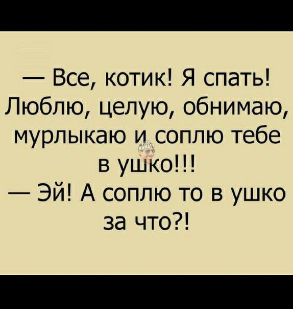 Все котик Я спать Люблю целую обнимаю мурлыкаю и соплю тебе в уШко Эй А соплю то в ушко за что