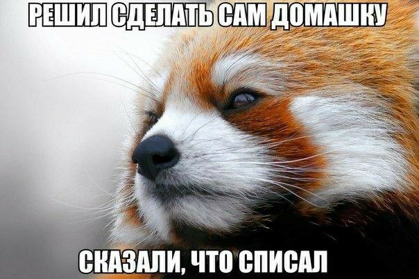 снизили ЧП ВПИШШ