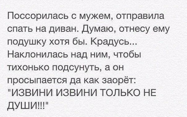 Поссорипась с мужем отправила спать на диван думаю отнесу ему подушку хотя бы Крадусь Наклонипась над ним чтобы тихонько подсунуть а он просыпается да как заорёт ИЗВИНИ ИЗВИНИ ТОЛЬКО НЕ ДУШИ