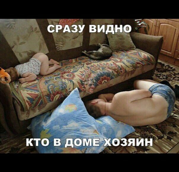 АЗУ видщх дт _ 77 __