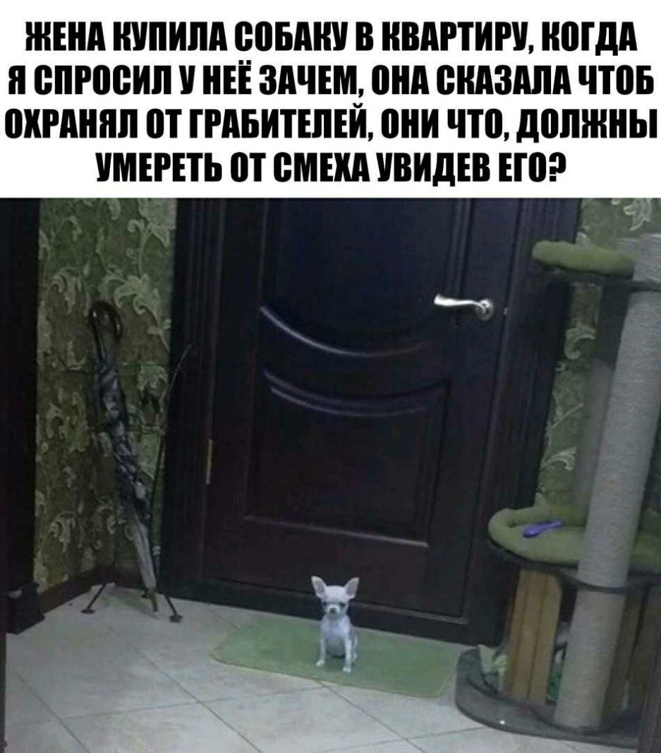 ЖЕНА ШШШ ЁВБАШ В КВАРТИРУ НШдд п БПРПВИП НЕЕ ЗАЧЕМ ШШ снизили ЧЮБ ШШШПП ПТ ПдБИТШЕЙ И что должны УМЕРЕТЬ П ВМЕ УВИДЕВ ЕЮ