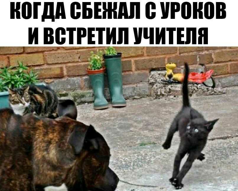 ЮГдд ВБНШШ 0 УРПНПВ И ВВТРЕТИЛ УЧИТЕЛЯ Г _ _