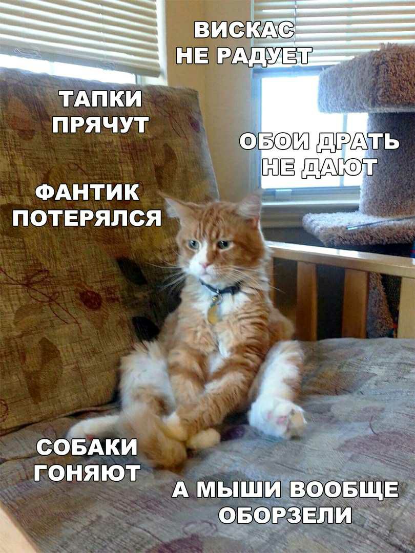 ФАНТИК _ _ потвгялся ГОНЯЮТ А МЫШИ ВООБЩЕ ОБОРЗЕПИ _