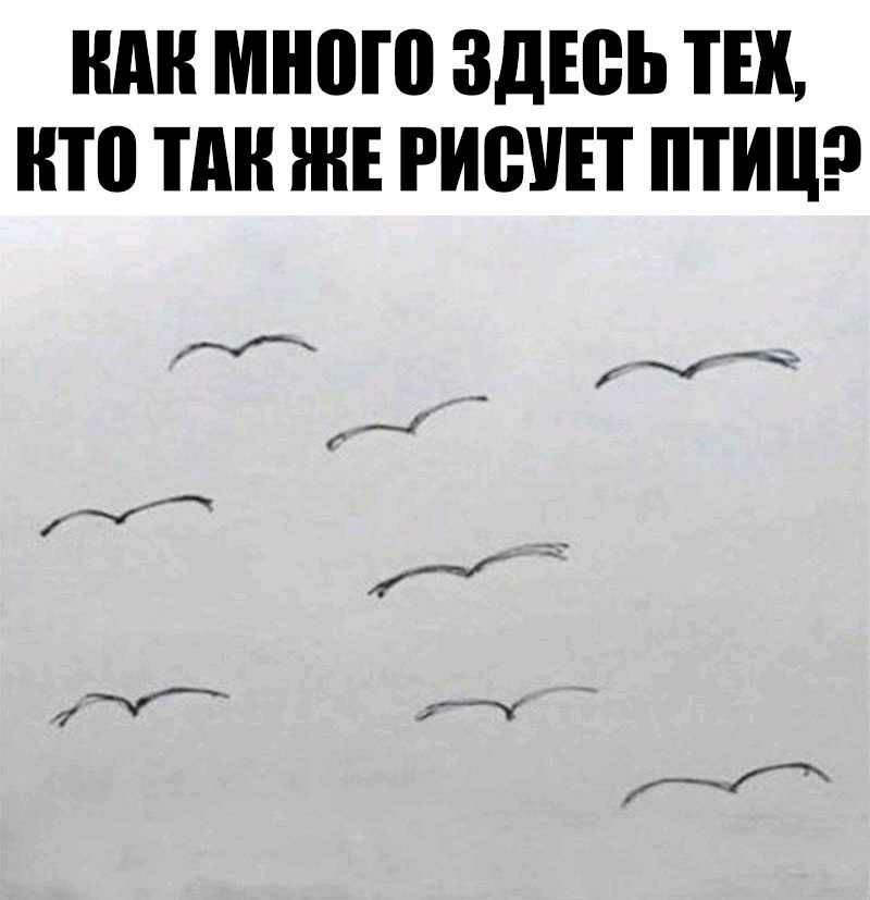 много ЗДЕВЬ ТЕХ НТП П Е РИВУЕТ ПТИЦ