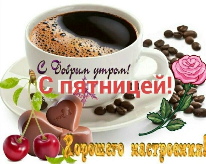 Ёе С фобрмм том _ Чуц 9 1ип 1133 Ё М 1