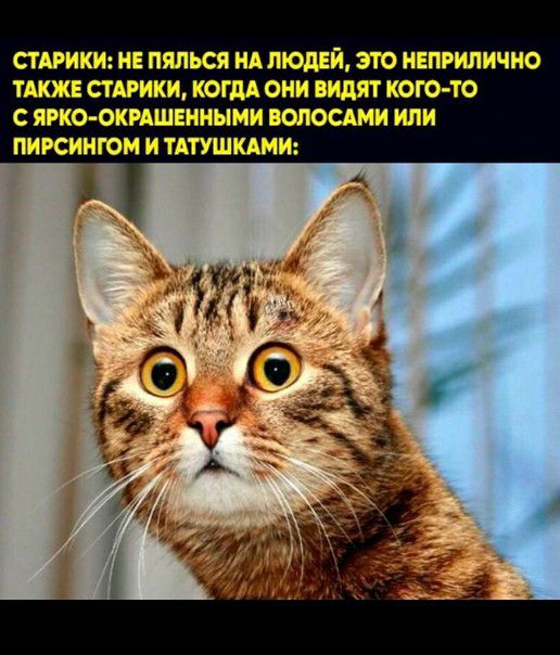 СТАРИК НЕ ПЯПЬСЯ НА ЛЮДЕЙ ЗЮ ИЕПРИПИЧНО ТАКЖЕ СТАРИК КОГДА ОНИ видят КОГО ТО С ПРКО ОКРАШЕННЫИИ ВОЛОСАМИ ИЛИ ПИРСИНГОМ И ТАТУШКАМИ