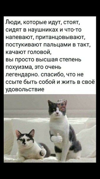 Люди которые идут стоят СИДЯТ В НЗУШНИКЗХ И ЧТОТО напевают притаицовывают постукивают пальцами в такт качают головой вы просто высшая степень ПОХУИЗМЗ ЭТО ОЧЕНЬ пегендарно спасибо что не ссыте быть собой и жить в своё удовольствие