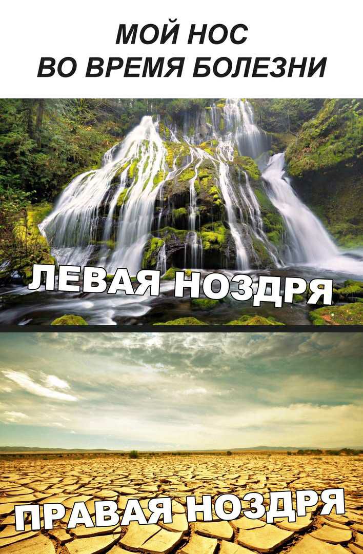 мой нос во ВРЕМЯ БОЛЕЗНИ