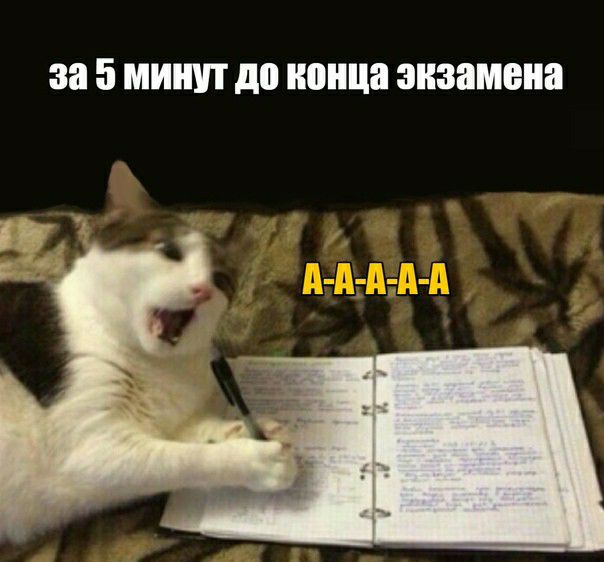за 5 МИНУТ до ШЩ8 экзамена