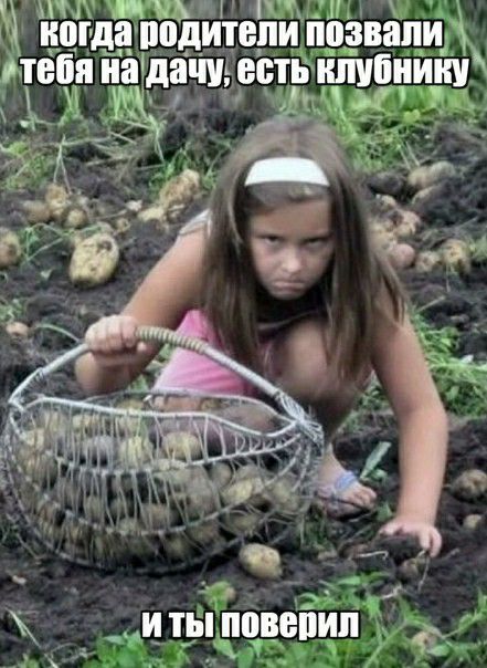 Ъогда Ёіёйййбзвяшй пеня на дат естиітіиищ ны