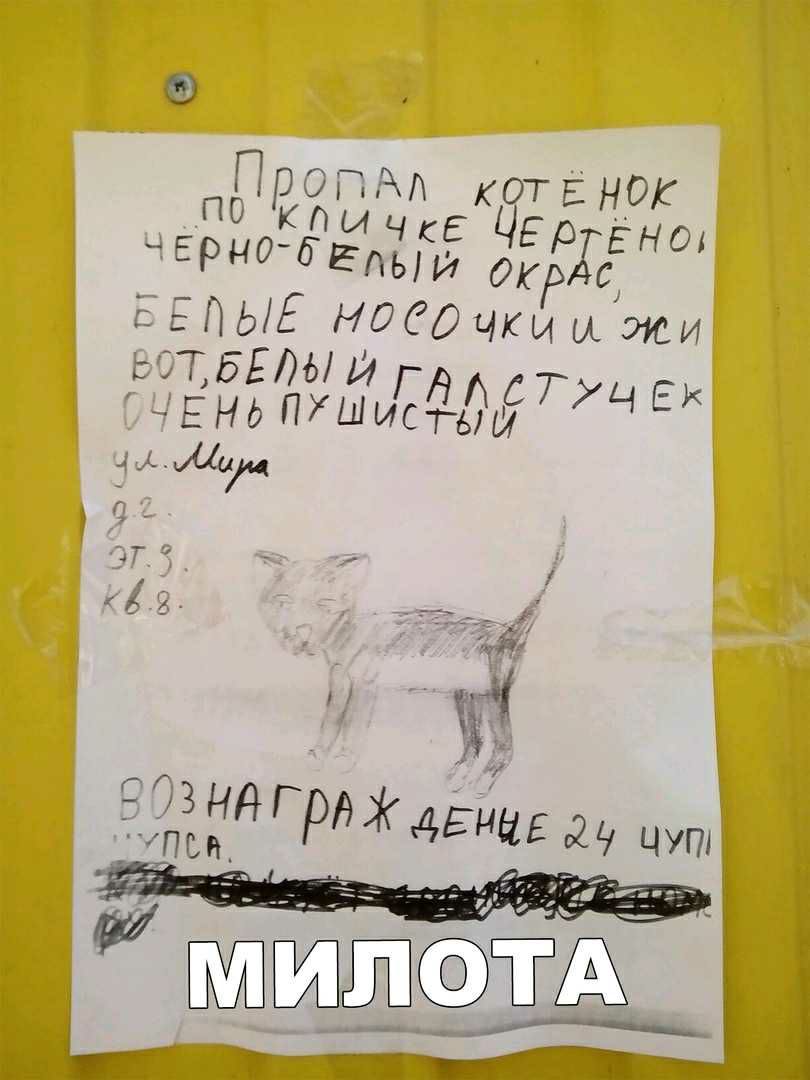 550614 7 ЁнопхшИсЁЗЁР