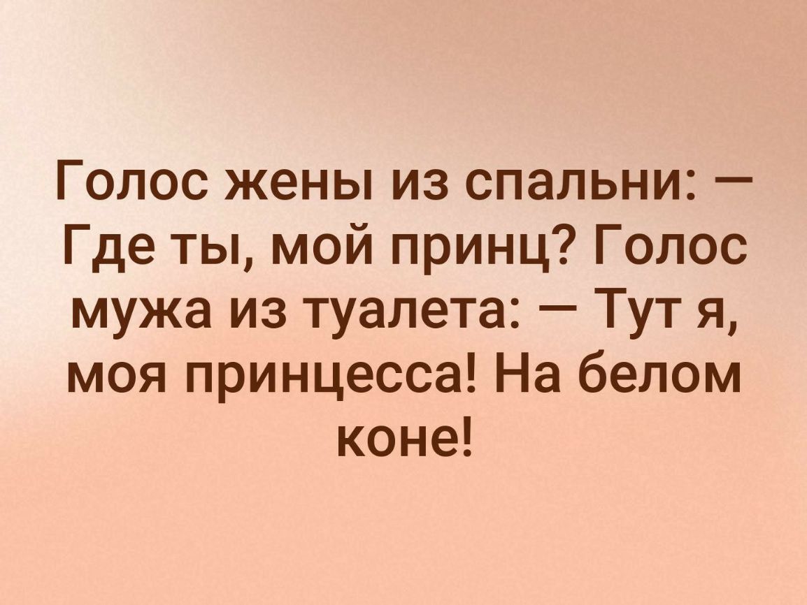 Голос жены из спальни Где ты мой принц Голос мужа из туалета Тут я моя принцесса На белом коне