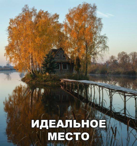 МЕСТО