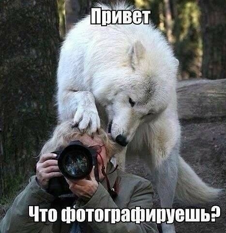 Что шотоШашипёешь