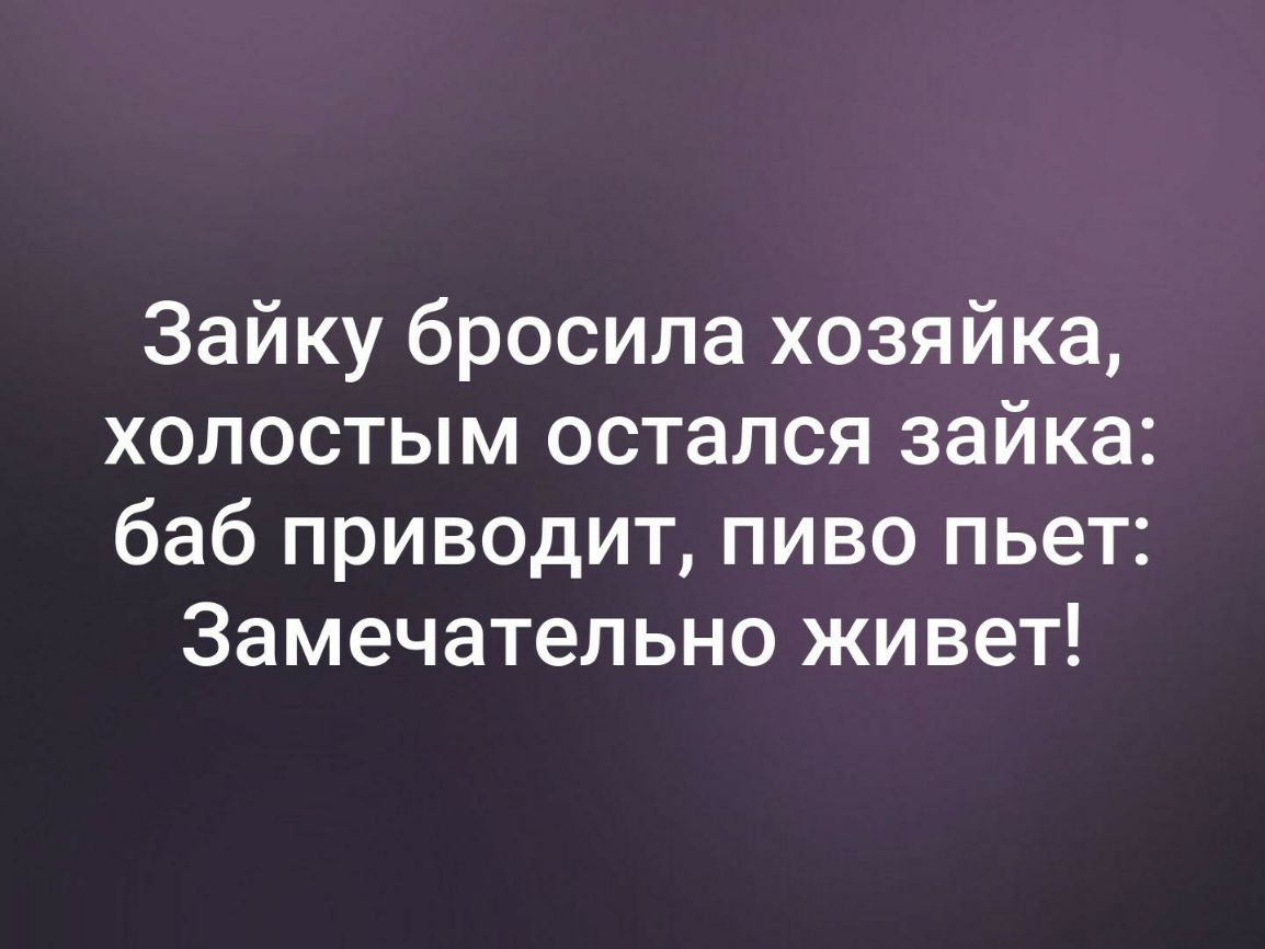 Зайку бросила хозяйка холостым остался зайка баб приводит пиво пьет Замечательно живет