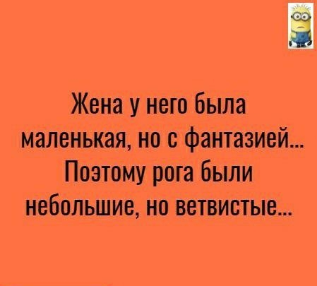 Жена у него была маленькая но с фантазией Поэтому рога были небольшие но ветвистые